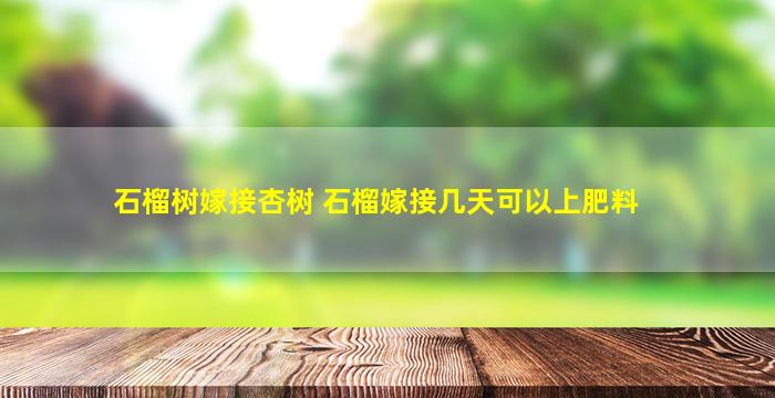 石榴树嫁接杏树 石榴嫁接几天可以上肥料